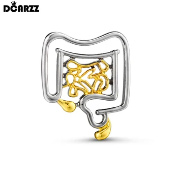 DCARZZ Медицинская брошь для аноректального кишечника, анатомия, медицина, пищеварительная система, ювелирные изделия, нагрудный медицинский значок для врача и медсестры