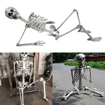 Прочные и детализированные украшения из человеческого скелета Привнесут незабываемые впечатления от Хэллоуина в любой проект или мероприятие